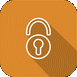 Website security testing